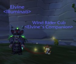 WindRiderCub.JPG