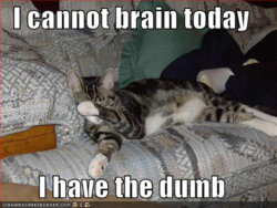 i-cannot-brain-today.jpg
