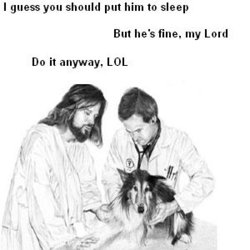 1270535293627.jpg