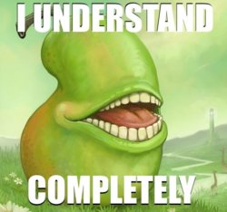 1281805670809.jpg
