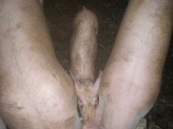 P7Qw7.jpg