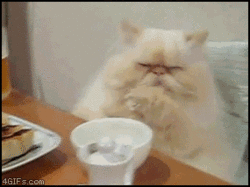 1285805880276.gif