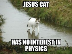 1286628151466.jpg