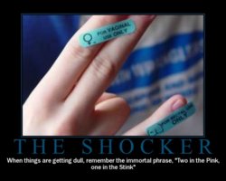theshocker.jpg