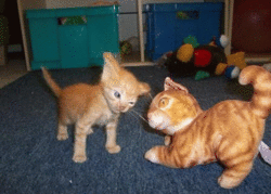 heyyy-3d0.gif
