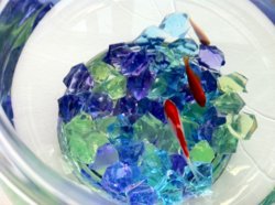 fishbowl2.JPG