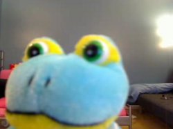 tinyfrog.JPG