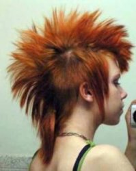 mohawk6.jpg