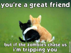 youre_a_great_friend_but_if_the_zombies_chase_us_im_tripping_you_trollcat.jpg