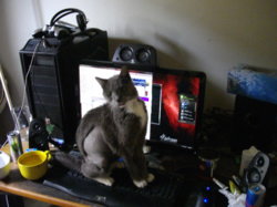 25-01-2012 10-25-00 AM_0047.JPG