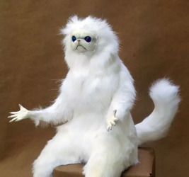 1793199937194.png 1793199937194.png
