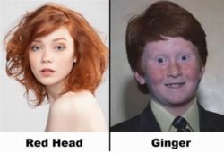 funny Redhead-Ginger Know the difference.jpeg