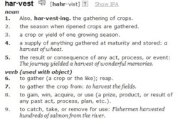 Harvest.jpg