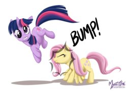 bumppony.jpg