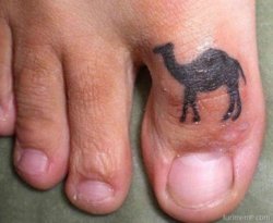 cameltoe.jpg