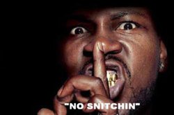 nosnithchin237.jpg