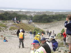 junes dunes.jpg