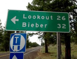 look-out-bieber-road-sign-400x311.jpg
