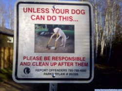 funny sign dog.jpg