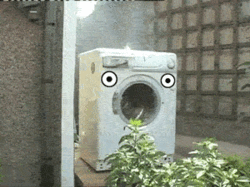 tumblr_lykbf94XRL1qg51mgo1_4002.gif