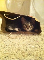 photo(9).jpg