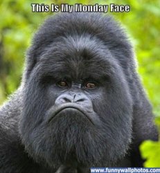 funny monday-face.jpg