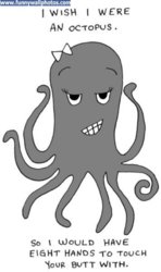 funny octopus.jpg