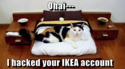 IKEA Account.jpg