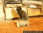 12a.gif