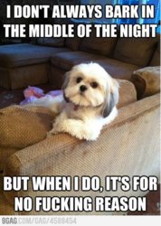 I-Dont-Always-Bark-in-the-Middle-of-the-Night.jpg