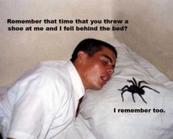 spider-remembers-520x419.jpg