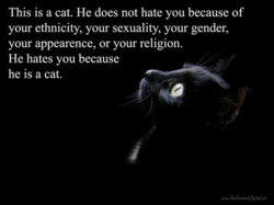 hes a cat.jpg