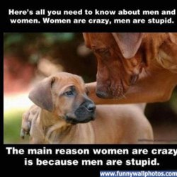 funny crazy-women.jpg
