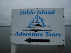funny si dildo island.jpg