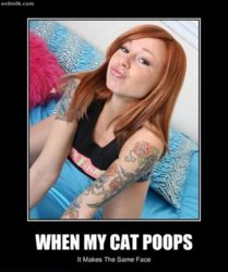 funny When_The_Cat_Poops.jpg