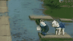 tumblr_m81rv2pVqj1qzfebyo1_400.gif