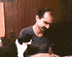 funny ki sharing.gif