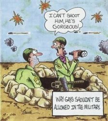 why gays should not be in the military.jpg