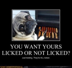 funny licked or not.jpg