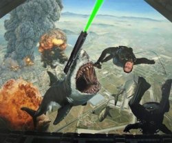 Radical Amber Is Radical.jpg