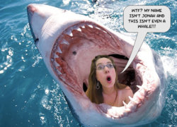 Amber in the Shark.jpg