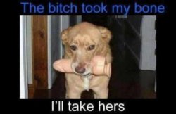 funny do bone.jpg