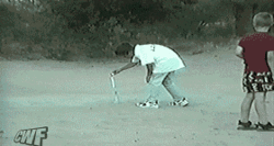 funny do weiner dog Fire.gif