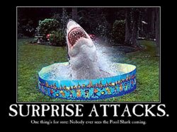 278727-shark-week.jpg