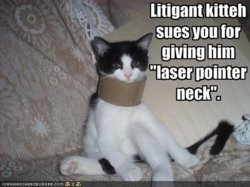 funny-pictures-litigant-cat-sues-you.jpg