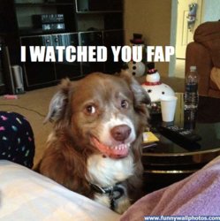 funny do fap.jpg