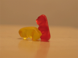 429900n5e4riyfe6.gif