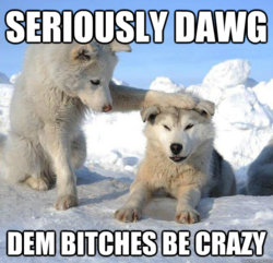 dawg.jpeg
