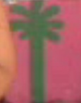 palm.jpg