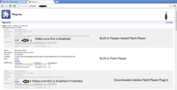 Pepper Flash Player.PNG